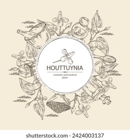 Background with houttuynia: houttuynia flowers and leaves. Houttuynia cordata, Oil, soap and bath salt . Cosmetics and medical plant. Vector hand drawn illustration
