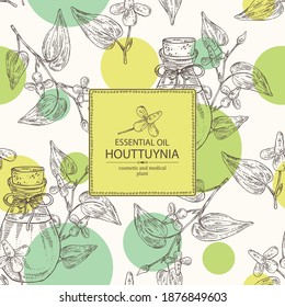 Background with houttuynia plant and flowers and bottle of houttuynia essential oil. Houttuynia cordata. Cosmetic, perfumery and medical plant. Vector hand drawn illustration.