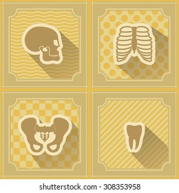 Background with human bones  for your design