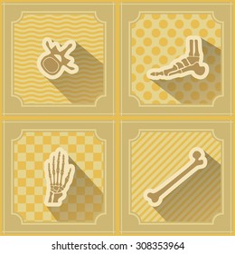 Background with human bones  for your design