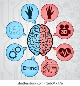 Background with human brain and signs. eps10