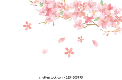 Background illustration of beautiful pink sakaura