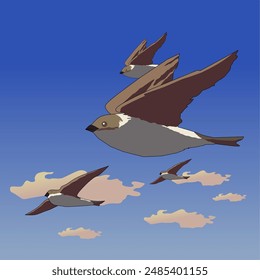 Background illustration of birds in the sky  | Eps, Vector, Logo, ilustrasi, Design, Ornament, Abstract, Background, layout, icon, art, line, of,sky, cloud, fly,birds,animal,animals