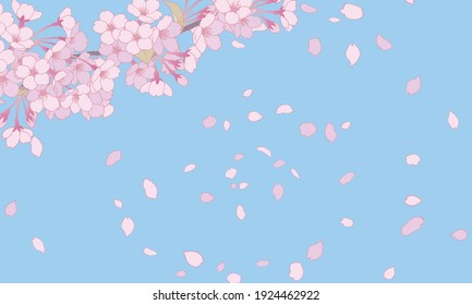 A background illustration of a blue sky and cherry blossoms in full bloom.
