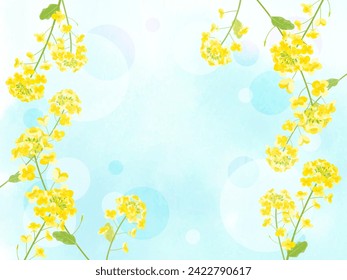 Background illustration of brightly blooming rape blossoms