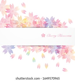 background illustration of cherry blossoms