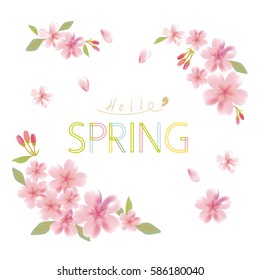 Background illustration of cherry blossoms