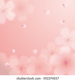 Background illustration of cherry blossoms