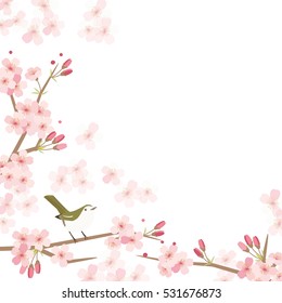 Background illustration of Cherry blossoms and bird