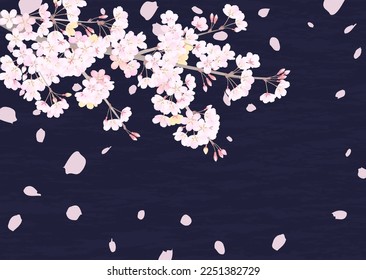 Background illustration of cherry blossoms in a calm atmosphere looking up at the night sky