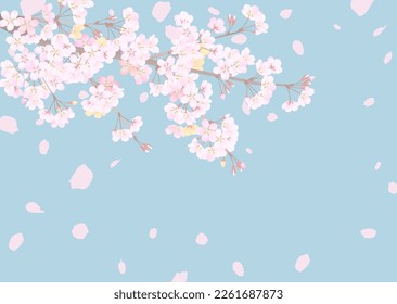 A background illustration of cherry blossoms in a calm atmosphere looking up at the cloudy sky