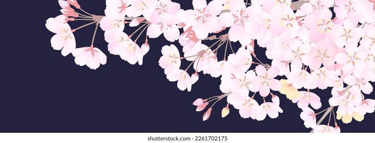 Background illustration of cherry blossoms in a calm atmosphere looking up at the night sky