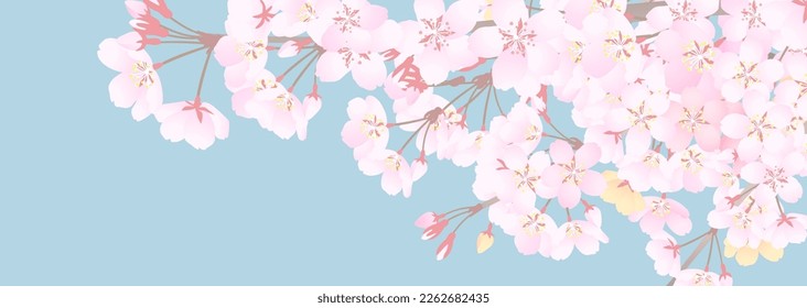 A background illustration of cherry blossoms in a calm atmosphere looking up at the cloudy sky
