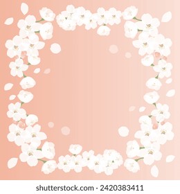 Background illustration of cherry blossoms in full bloom