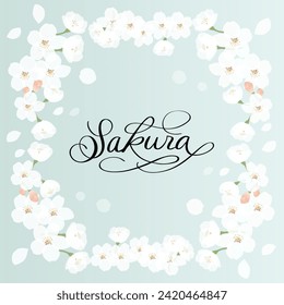 Background illustration of cherry blossoms in full bloom