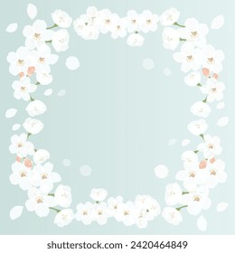 Background illustration of cherry blossoms in full bloom