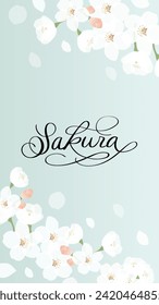 Background illustration of cherry blossoms in full bloom