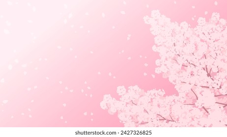 Background illustration of cherry blossoms in full bloom