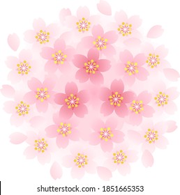 Ilustración de fondo de flores de cerezo y pétalos dispuestos en círculo