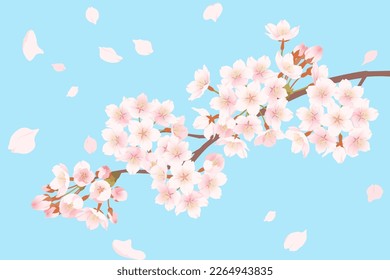 Background illustration of cherry blossoms and petals falling in blue sky