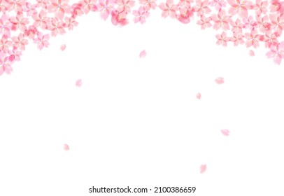 It is a background illustration of cherry blossoms.There are multiple variations.Easy-to-use vector material.