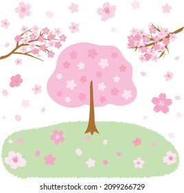 Background illustration of the cherry tree and field.