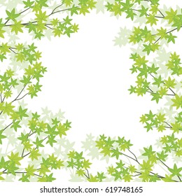 Background illustration of green maple leaves