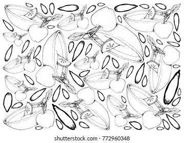 Background Illustration Hand Drawn Sketch of Wassail or Traditional Drink Made of Cider, Brandy, Apples and Spices for Christmas Season.
