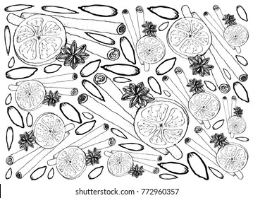 Background Illustration Hand Drawn Sketch of Dried Star Anise and Cinnamon Sticks with Dried Orange for Christmas Decoration.