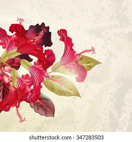 Background or illustration with hibiscus  flowers in retro style