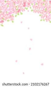 It is a background illustration of leaf cherry blossoms.There are multiple variations.Easy-to-use vector material.