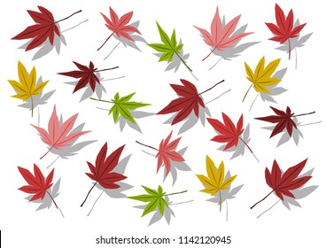 Background illustration of maple