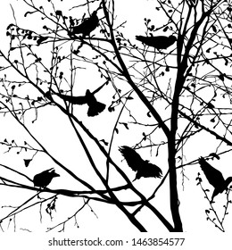 Background illustration with pigeons silhouettes in the trees, vector