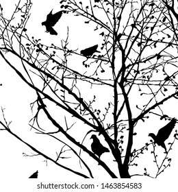 Background illustration with pigeons silhouettes in the trees, vector