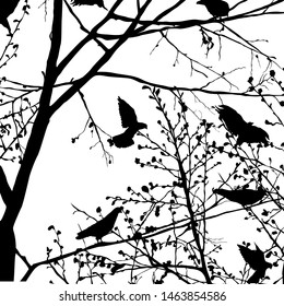 Background illustration with pigeons silhouettes in the trees, vector