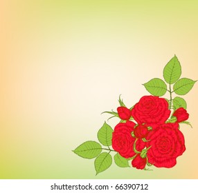 background illustration  with red roses