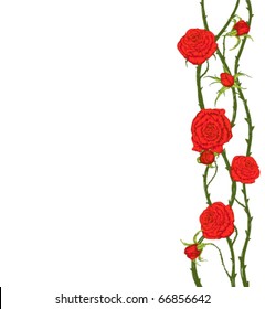 background illustration  with red roses