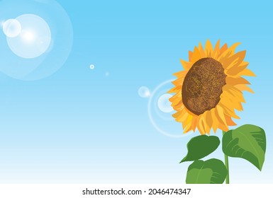 Background illustration of the sun and sunflowers