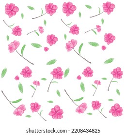 Background Illustration Vector Flower Watercolor Colorful Concepts