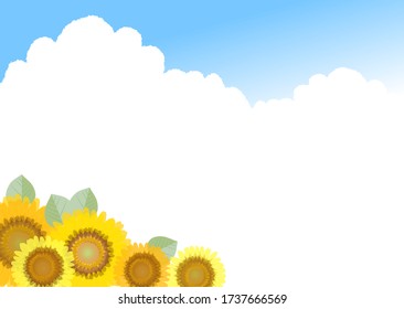 Background illustration where various sunflower flowers are blooming under the blue sky