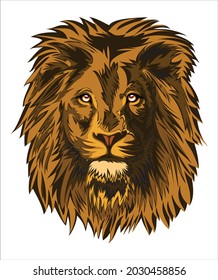 Background illustration wild cat jungle