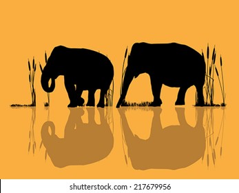 Background illustration with wild elephants crossing water