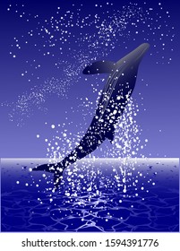 The background image of jumping whale, ocean and night sky.