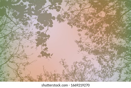 The background image of leaves and the sky from the bottom view