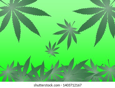 Background image of marijuana leaves, natural herbs
