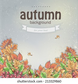 Background image for your text with autumn leaves and berries of viburnum, acorns and chestnuts