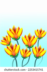 imágenes de fondo, flores dispuestas para crear imágenes usadas en gráficos