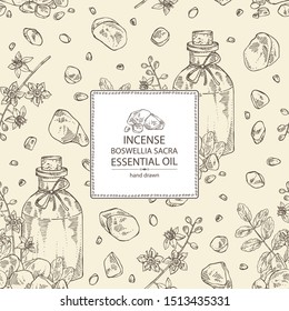 Background with Incense and bottle of Incense essential oil. Boswellia sacra. Cosmetic, perfumery and medical plant. Vector hand drawn illustration.