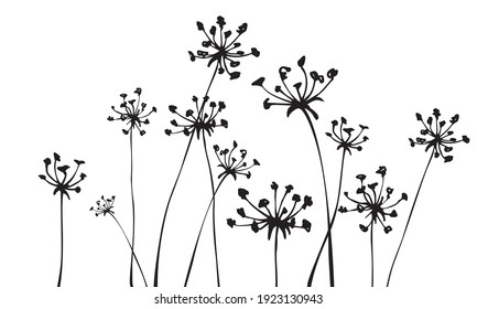 Background with inflorescences silhouettes. Grass. Herbs. Spring or summer floral background. Vector illustration.