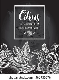 Background with Ink hand drawn citrus fruits. Template for design leaflets, labels, banners. Vector illustration.